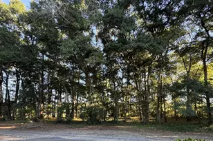 594 Medcalf Dr SW, Sunset Beach, NC 28468 - Photo 1