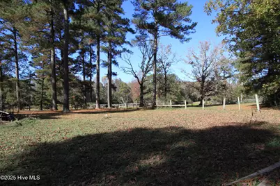 0 Cedar Lane Road, Sanford, NC 27332 - Photo 2
