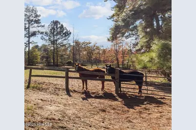 00 Cedar Lane Road, Sanford, NC 27332 - Photo 12