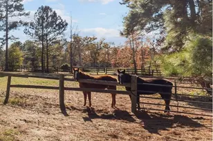 00 Cedar Ln Rd, Sanford, NC 27332 - Photo 12