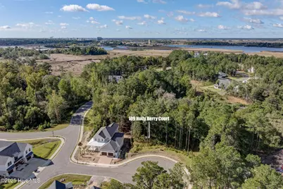 109 Holly Berry Court, Wilmington, NC 28401 - Photo 1