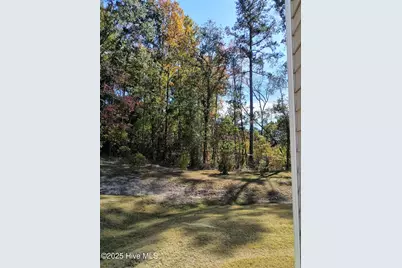 3010 Alibird Lane, Carthage, NC 28327 - Photo 18
