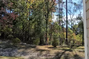 3010 Alibird Ln, Carthage, NC 28327 - Photo 18
