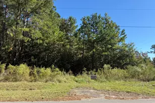 Tbd Tharpe Rd Rd, Little River, SC 29566 - Photo 1