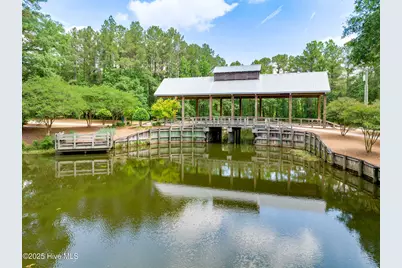 112 Cedar Court, Wallace, NC 28466 - Photo 60