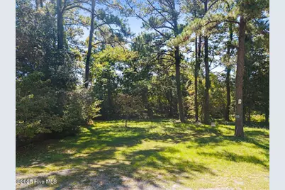 4419 Coward Trail SW, Shallotte, NC 28470 - Photo 10
