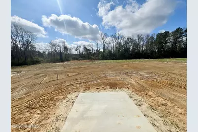 52 Grace Pond Avenue, Benson, NC 27504 - Photo 20