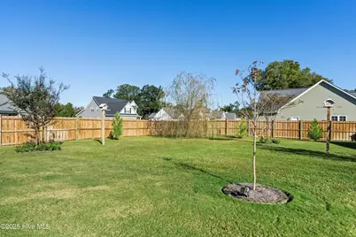 134 Bellows Lane, Rocky Point, NC 28457 - Photo 62