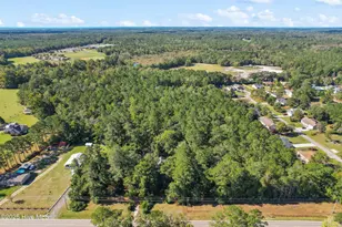 1433 Stone Chimney Rd SW, Supply, NC 28462 - Photo 16