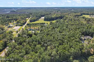 1433 Stone Chimney Rd SW, Supply, NC 28462 - Photo 14