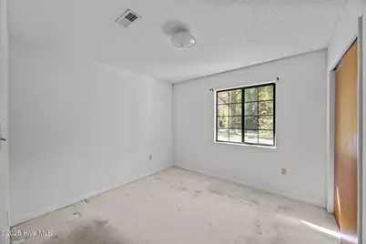 148 Payton Lane, Pollocksville, NC 28573 - Photo 20