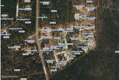 15 Watercolor Court, Jackson Springs, NC 27281 - Photo 38