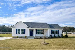 111 Dees Mdw Ln, Fremont, NC 27830 - Photo 2