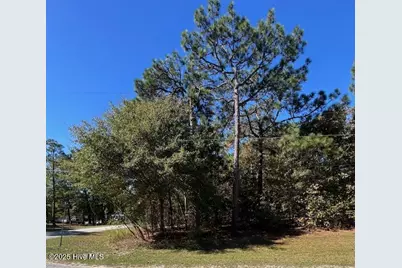 Tbd Cloud Avenue, Hamlet, NC 28345 - Photo 2