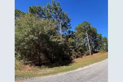 Tbd Cloud Avenue, Hamlet, NC 28345 - Photo 1
