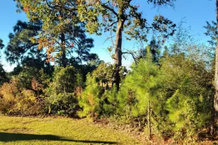 925 Morganton Rd, Pinehurst, NC 28374 - Photo 46