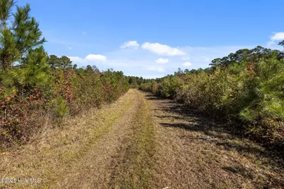 1456 Nc-58, Peletier, NC 28584 - Photo 4