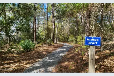 679 Carolina Bay Court, Southport, NC 28461 - Photo 38