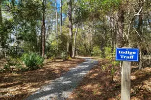 679 Carolina Bay Ct, Southport, NC 28461 - Photo 38