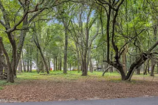 1900 Egret St SW, Shallotte, NC 28470 - Photo 1