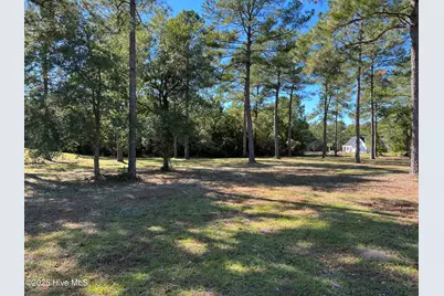 1061 Crosby Circle SW, Sunset Beach, NC 28468 - Photo 2