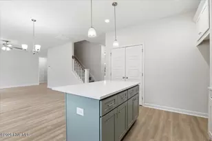 404 Creeks Edge Dr, Pikeville, NC 27863 - Photo 14
