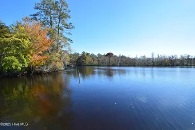 246 Shoreline Drive, New Bern, NC 28562 - Photo 10