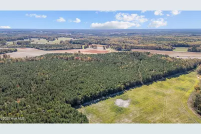 0 Nc 43, Whitakers, NC 27891 - Photo 12