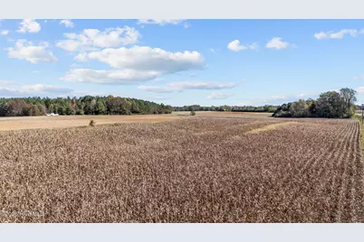 0 Nc 43, Whitakers, NC 27891 - Photo 16