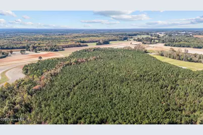 0 Nc 43, Whitakers, NC 27891 - Photo 10