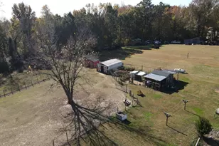 397 Spivey Rd, Hobbsville, NC 27946 - Photo 16