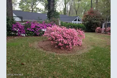 903 E Woodlawn Drive, Williamston, NC 27892 - Photo 68