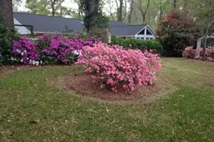 903 E Woodlawn Dr, Williamston, NC 27892 - Photo 68