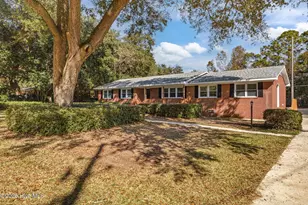 119 Futch Creek Rd, Wilmington, NC 28411 - Photo 1