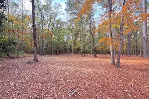 349 Barwick Dr, Washington, NC 27889 - Photo 62