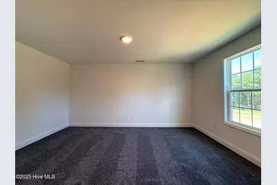 88 Pikewood Court, Lillington, NC 27546 - Photo 38