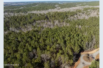 141 N State Lane, Rockingham, NC 28379 - Photo 6