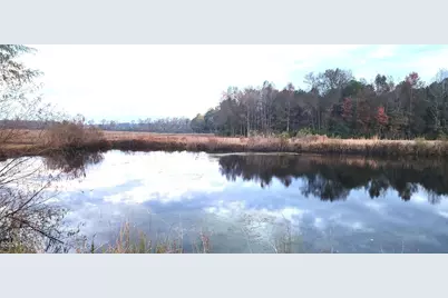 1553 N Nc 41 Highway, Pink Hill, NC 28572 - Photo 20