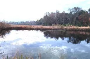 1553 N Nc 41 Hwy, Pink Hill, NC 28572 - Photo 20