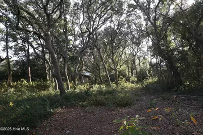 111 SE 78th Street, Oak Island, NC 28465 - Photo 2