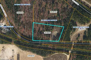 Lot 5C Dead Man Curve, West End, NC 27376 - Photo 1