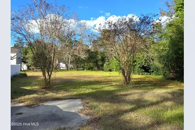 33 Gapway Road, Fair Bluff, NC 28439 - Photo 76