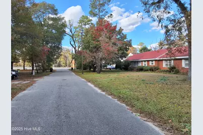 33 Gapway Road, Fair Bluff, NC 28439 - Photo 110