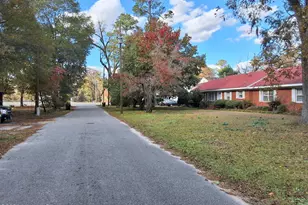 33 Gapway Rd, Fair Bluff, NC 28439 - Photo 110