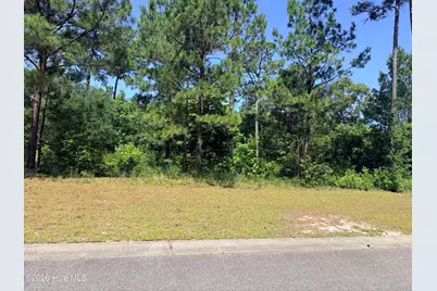 3808 Silver Melon Road NE, Leland, NC 28451 - Photo 2