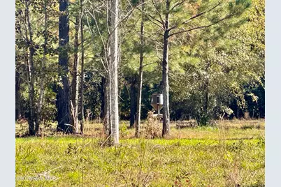 0 Near 4294 James B Wh, Whiteville, NC 28472 - Photo 6