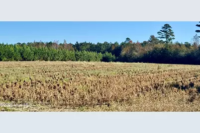 0 Near 4294 James B Wh, Whiteville, NC 28472 - Photo 12