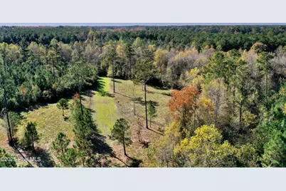 0 Near 4294 James B Wh, Whiteville, NC 28472 - Photo 20