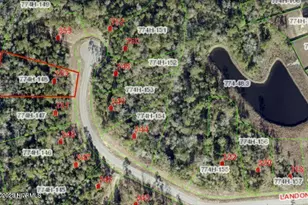 353 Landon Ln, Sneads Ferry, NC 28460 - Photo 1