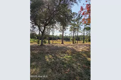 7501 Wallace Place SW, Sunset Beach, NC 28468 - Photo 4